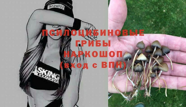 дживик Армянск